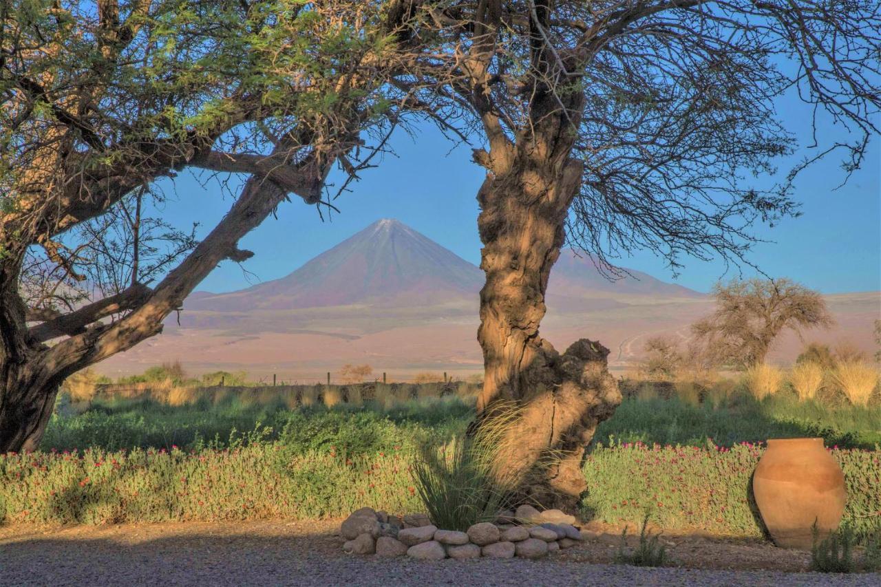 Casita La Brea Villa San Pedro de Atacama Exterior photo